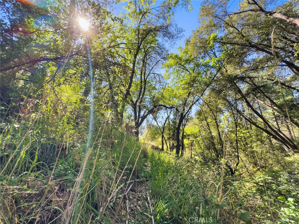 https://media.crmls.org/medias/d9f64d53-e66e-4b94-ab08-db209caf94b2.jpg?preset=X-Large