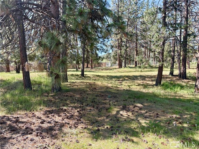 Image 13 of 54 For 0 S Lang Way