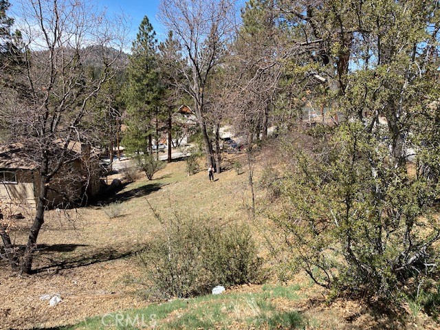 0 Piney Ridge Place, Fawnskin, CA 92333