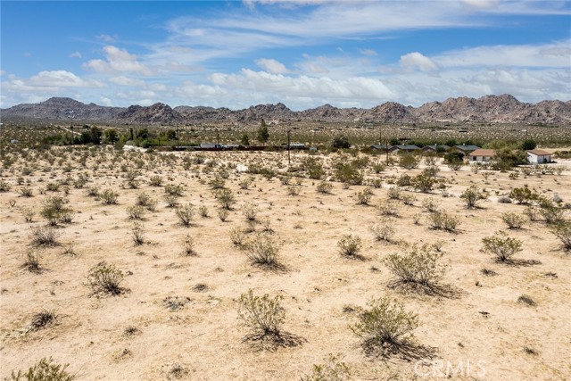 64532 Chollita Road, Joshua Tree, California 92252, ,Land,For Sale,64532 Chollita Road,CRJT23175359