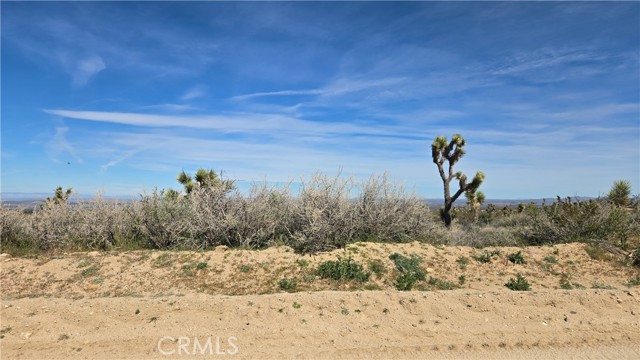 Detail Gallery Image 22 of 50 For 0 Fort Tejon Rd Vicinity 181st St E, Llano,  CA 93544 - – Beds | – Baths
