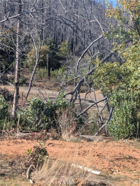 Detail Gallery Image 37 of 38 For 1833 Hunter Point Rd, Upper Lake,  CA 95485 - – Beds | – Baths