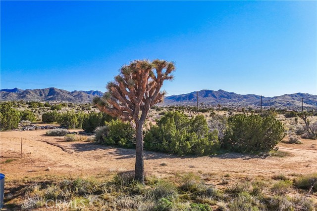 Detail Gallery Image 42 of 58 For 8626 La Contenta Rd, Yucca Valley,  CA 92284 - 2 Beds | 1 Baths