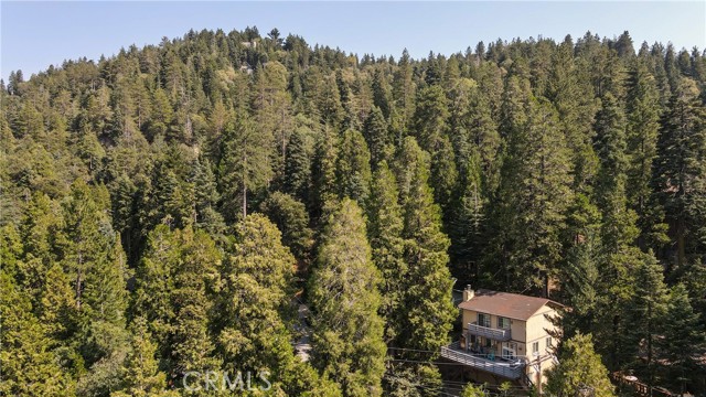 Detail Gallery Image 43 of 48 For 24941 Faulhorn Dr, Crestline,  CA 92325 - 3 Beds | 1/1 Baths