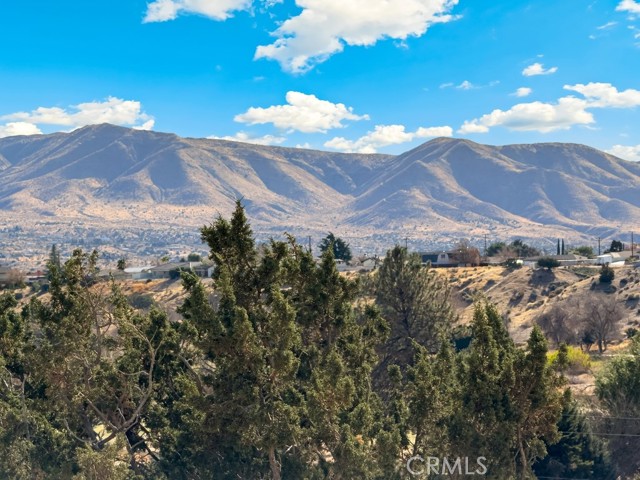 Detail Gallery Image 53 of 54 For 18463 Orange St, Hesperia,  CA 92345 - 4 Beds | 2 Baths