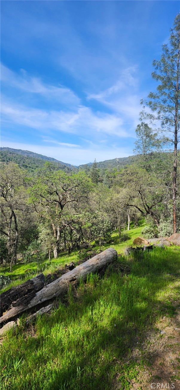 Detail Gallery Image 18 of 23 For 13566 Helltown Parcel 1, Chico,  CA 95928 - – Beds | – Baths