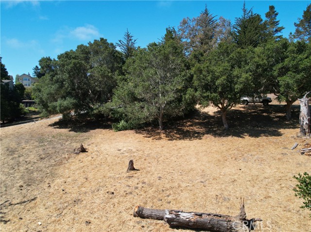 Detail Gallery Image 4 of 7 For 0 Londonderry Ln, Cambria,  CA 93428 - – Beds | – Baths