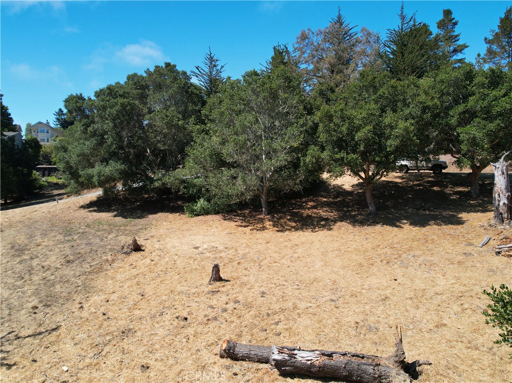 MLS #NS25177851 image #3