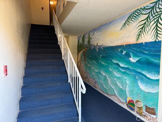 6242 Vineland Avenue, North Hollywood CA: https://media.crmls.org/medias/da271b4b-03c7-4b91-92dd-52c42d1e8d4a.jpg