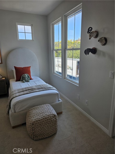 Image 15 of 38 For 14 Coral Reef