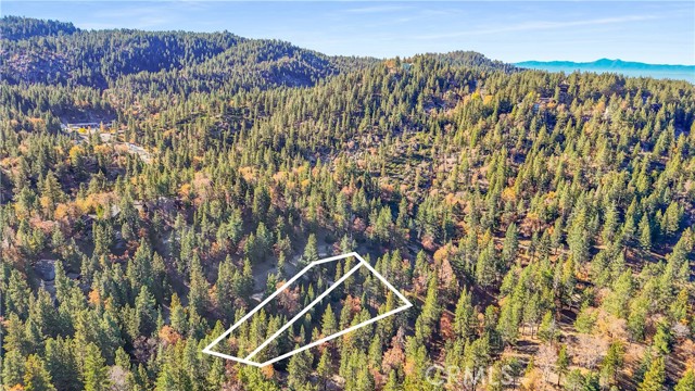 Detail Gallery Image 57 of 71 For 32703 Tulip Lane, Arrowbear,  CA 92382 - 2 Beds | 1 Baths