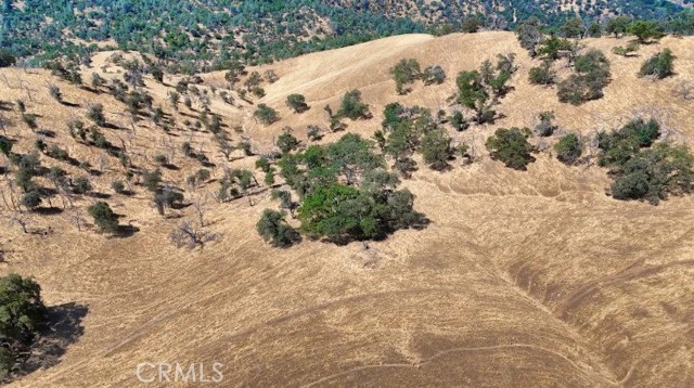 Detail Gallery Image 3 of 20 For 0 Mountain View Peak Road, O Neals,  CA 93653 - – Beds | – Baths