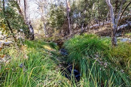 Detail Gallery Image 49 of 54 For 4816 Stumpfield Mountain Rd, Mariposa,  CA 95338 - 2 Beds | 2 Baths