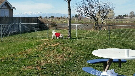 MLS #HD25030015 image #51