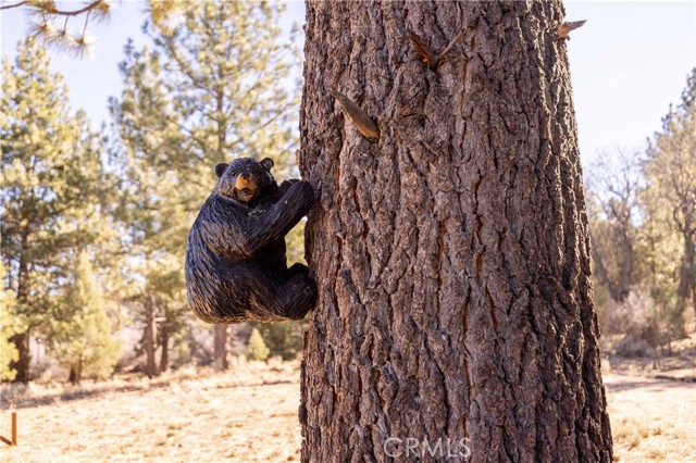 Detail Gallery Image 30 of 31 For 1110 Central, Big Bear City,  CA 92314 - – Beds | – Baths