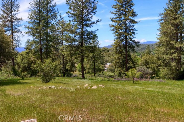 Detail Gallery Image 2 of 25 For 0 4.98 Ac Timberwood Ln, Oakhurst,  CA 93644 - – Beds | – Baths