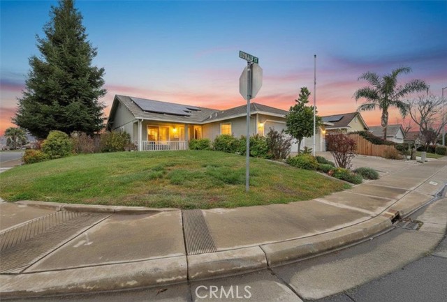 Front Image Thumbnail for CRSN26033023