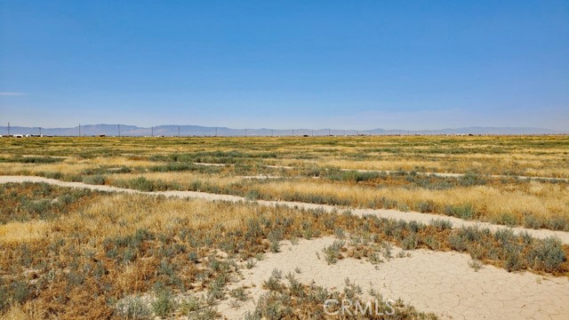 Detail Gallery Image 8 of 17 For 0 Vicinity Ave D11 & 52nd St E, Lancaster,  CA 93536 - – Beds | – Baths