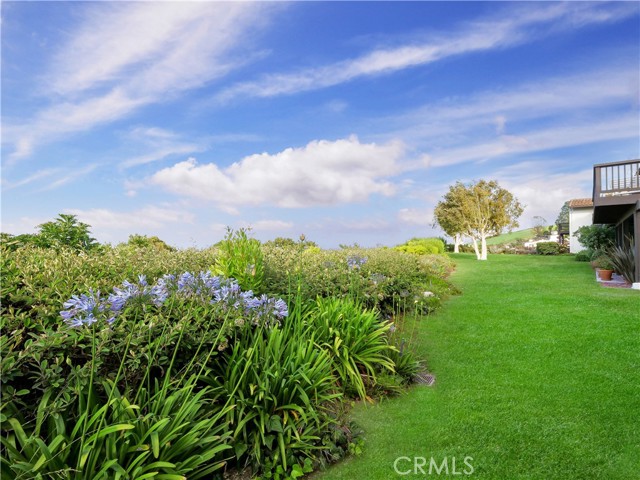 Grassy area in the back of the property