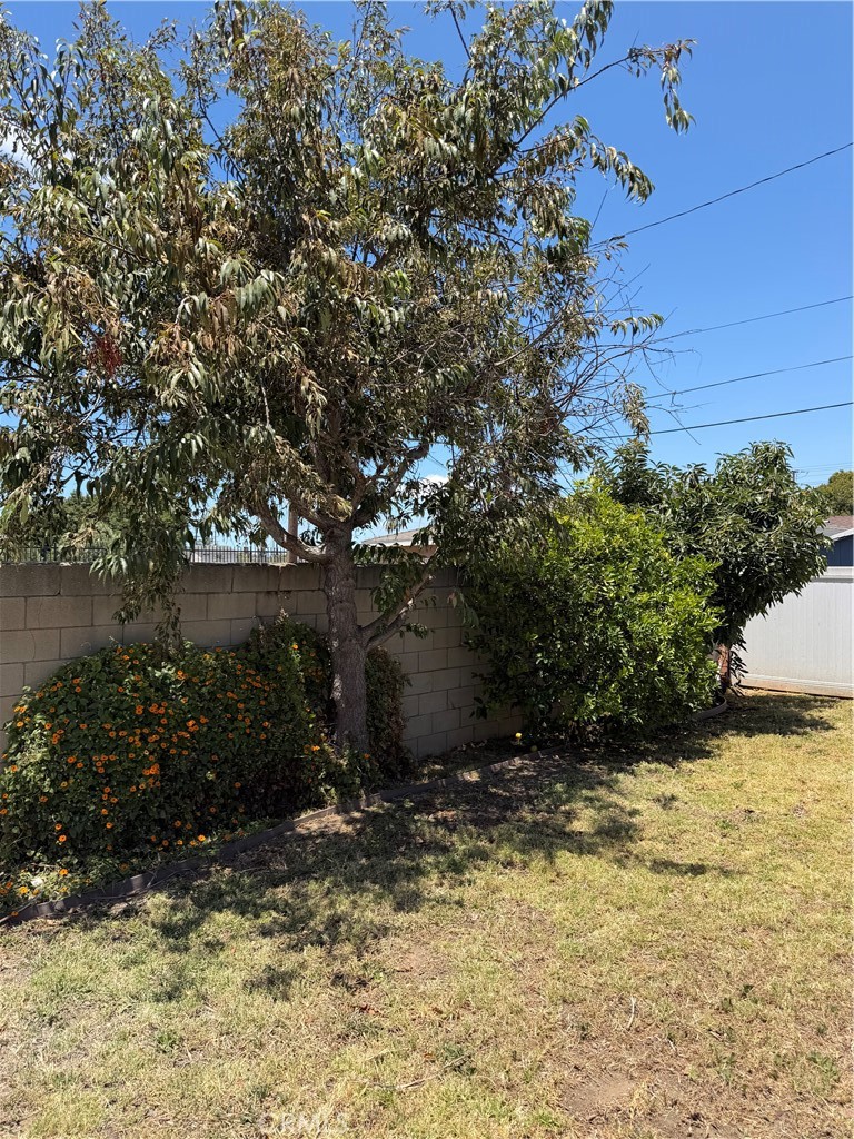 https://media.crmls.org/medias/da4edbc7-f978-470a-a357-d3a56945995c.jpg?preset=X-Large