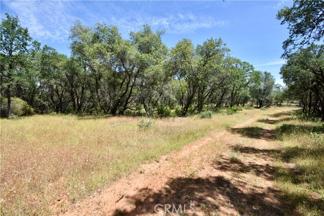 0 Mackey Court, Oroville CA: https://media.crmls.org/medias/da4fbeb3-5ee9-4e8a-809a-77d6a61fc824.jpg