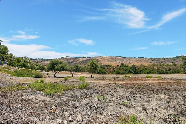 Detail Gallery Image 24 of 25 For 191 Seacountry Ln, Rancho Santa Margarita,  CA 92688 - 4 Beds | 2/1 Baths