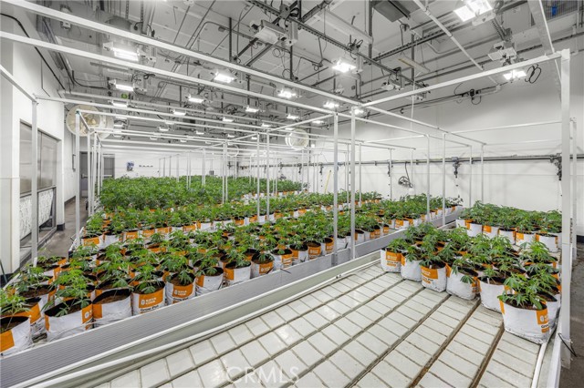 Image 32 of 54 For 44211 Yucca