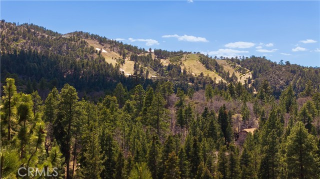 43897 Yosemite Drive, Big Bear Lake CA: https://media.crmls.org/medias/da5942cf-6775-463a-85c6-031d935c25cc.jpg