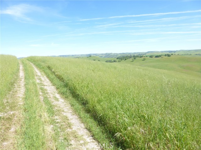 Detail Gallery Image 25 of 44 For 0 Douglas Rd. (Lot 34), San Miguel,  CA 93451 - – Beds | – Baths