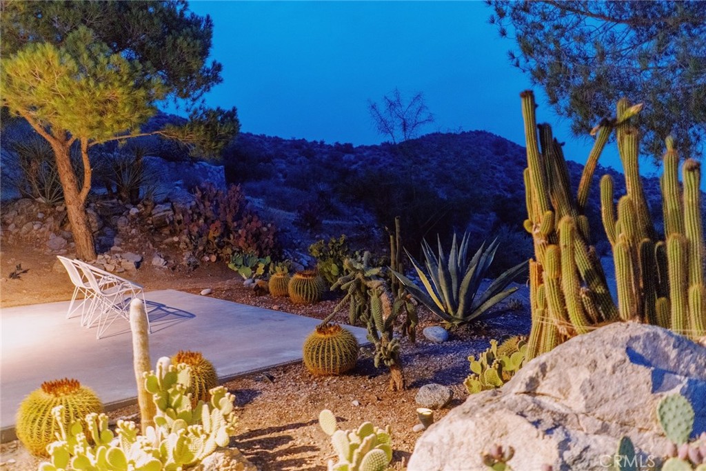 MLS #JT25265838 image #35