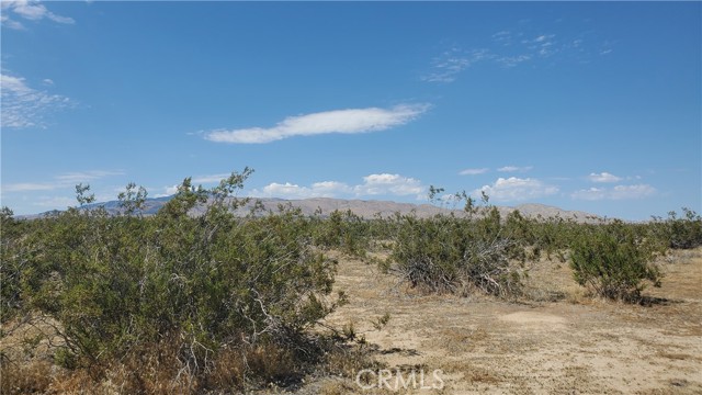 0 Budlong Ave & 114th St West, Rosamond, California 93560, ,Land,For Sale,0 Budlong Ave & 114th St West,CRSR23171065