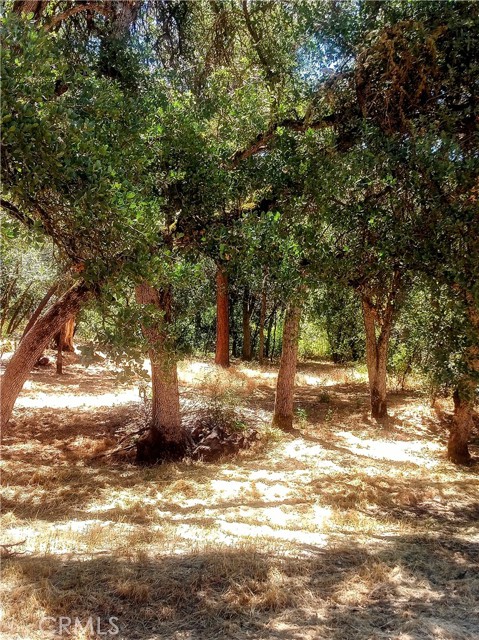 Detail Gallery Image 4 of 6 For 5947 Armijo Ave, Clearlake,  CA 95422 - – Beds | – Baths