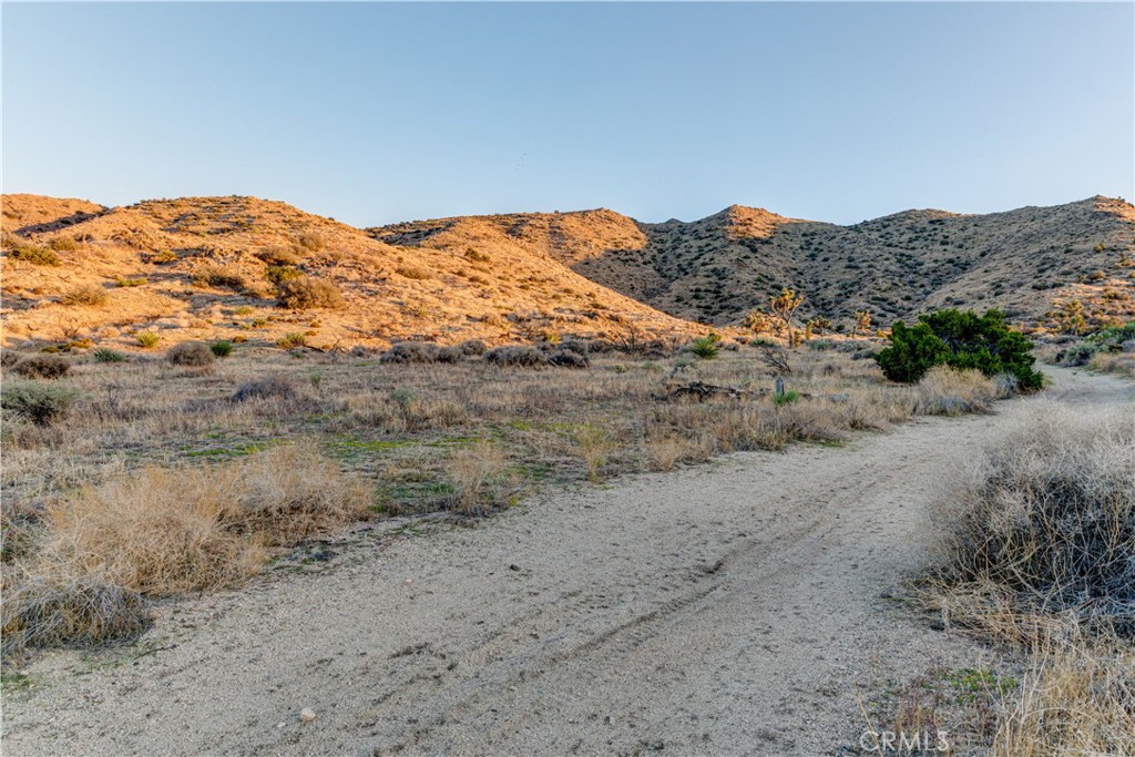 MLS #JT25229239 image #41