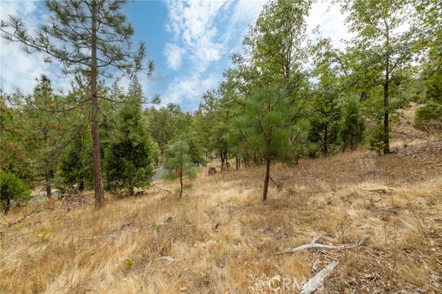 Detail Gallery Image 32 of 55 For 26 Timberview, North Fork,  CA 93643 - – Beds | – Baths