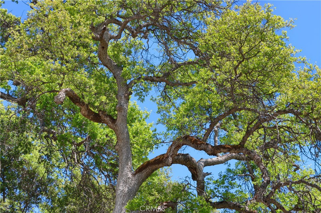 https://media.crmls.org/medias/da70470b-e17c-4bde-bafe-2ca6c4c44206.jpg?preset=X-Large
