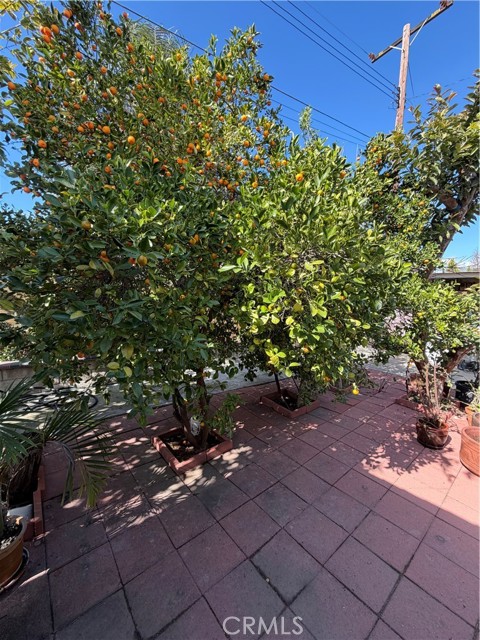 Detail Gallery Image 24 of 29 For 1163 Cloverglen Drive, La Puente,  CA 91744 - 3 Beds | 2 Baths