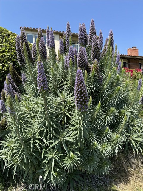 Detail Gallery Image 35 of 35 For 2000 Vista Cajon, Newport Beach,  CA 92660 - 3 Beds | 2 Baths