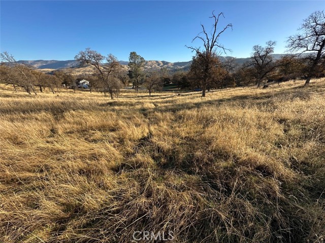 Detail Gallery Image 14 of 26 For 3228 Wild Rose Ct, Catheys Valley,  CA 95306 - – Beds | – Baths