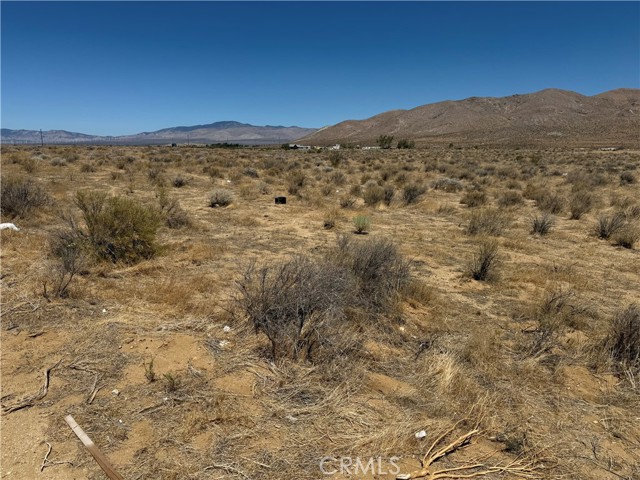8155 Rosamond, Rosamond CA: https://media.crmls.org/medias/da84393d-e207-4f2c-8ab6-735d72afa272.jpg