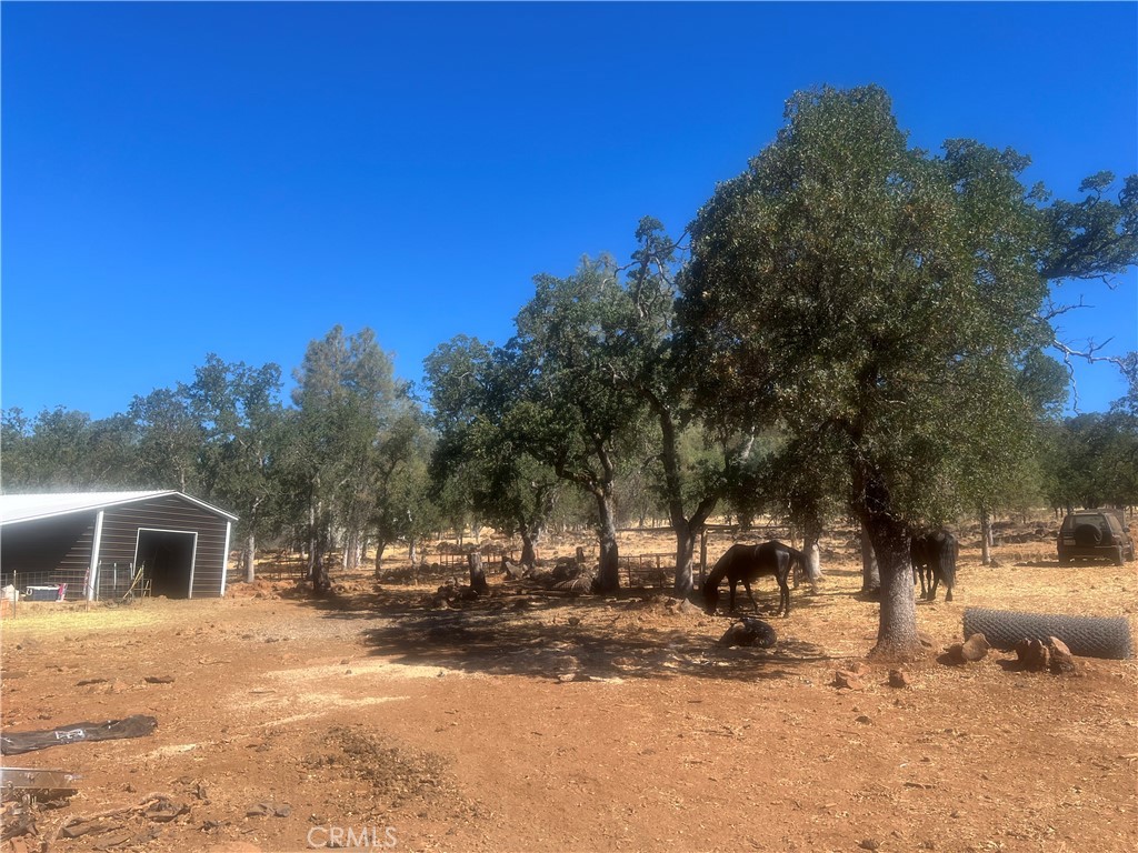 https://media.crmls.org/medias/da851f96-0162-471e-a3ad-e107ff911119.jpg?preset=X-Large