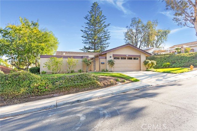 Front Image Thumbnail for CROC25264601