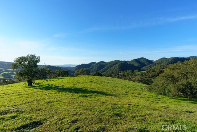 Detail Gallery Image 10 of 29 For 518 Bella Terra Ct, San Luis Obispo,  CA 93401 - – Beds | – Baths