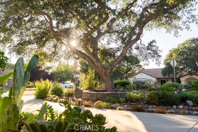 Detail Gallery Image 6 of 46 For 518 Grand Canyon Dr, Paso Robles,  CA 93446 - 3 Beds | 2/1 Baths
