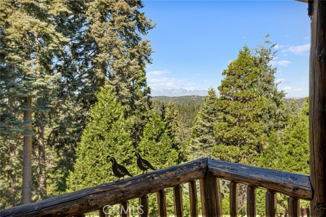 Detail Gallery Image 35 of 70 For 735 Oak Rd, Lake Arrowhead,  CA 92352 - 3 Beds | 4 Baths