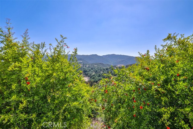 0 Via Herradura, Murrieta CA: https://media.crmls.org/medias/da8a7f60-dc20-461c-adf8-32c85dd032ad.jpg