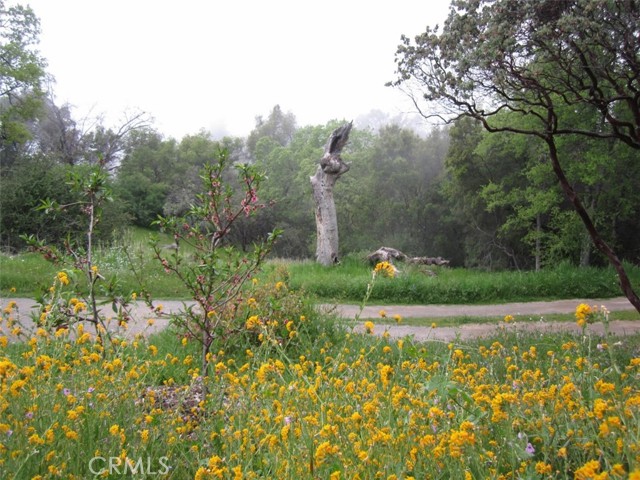 3279 Quail Run Road, Mariposa CA: https://media.crmls.org/medias/da8b507c-538d-4c1d-94fe-cb45f12249f5.jpg
