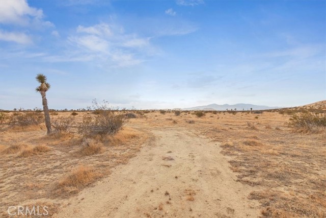 Detail Gallery Image 7 of 9 For 0 Mojave Tropico Rd, Mojave,  CA 93501 - – Beds | – Baths