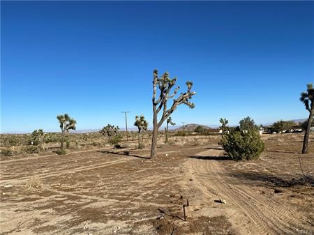 57031 Buena Vista Drive, Yucca Valley, California 92284, ,Land,For Sale,57031 Buena Vista Drive,CRJT23214315