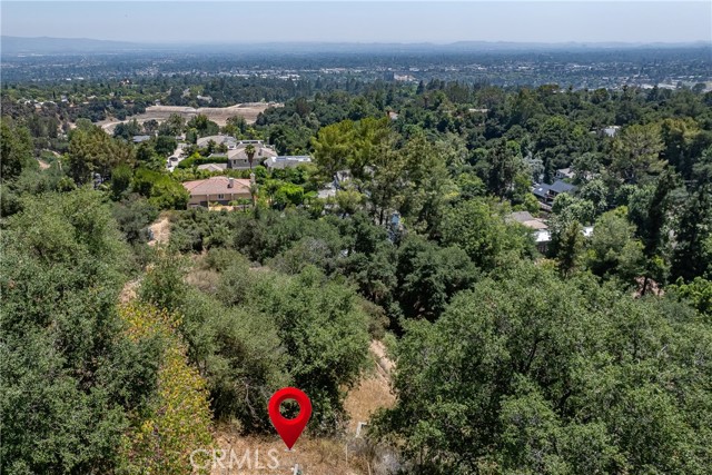 3597 Shaw Ranch Road, Pasadena CA: https://media.crmls.org/medias/da9a3638-f869-4cf7-b840-29abb37cedb4.jpg