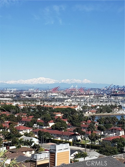 Detail Gallery Image 35 of 35 For 3615 S Carolina St #5,  San Pedro,  CA 90731 - 2 Beds | 3 Baths